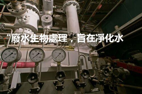“廢水生物處理，旨在凈化水源，守護碧水藍天”